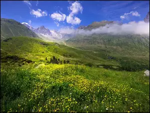 Chmury nad górską łąką z kwiatami