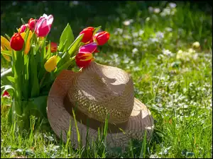 Bukiet tulipanów z kapeluszem