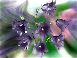 Graficzny kwiat orlik