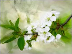 Kwiaty i listki na owocowej gałązce w grafice