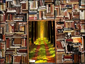 Biblioteczka z książkami i oknem leśnym