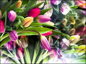 Kolorowe tulipany w grafice