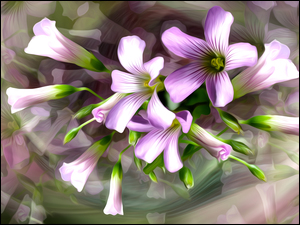 Kilka graficznych kwiatuszków