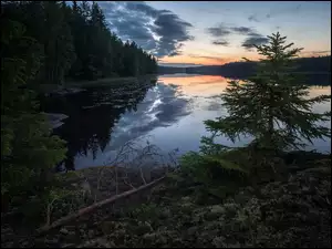 Wschód słońca nad jeziorem leśnym