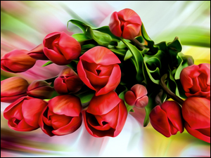 Bukiet tulipanów na kolorowym tle