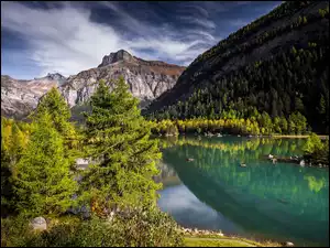 Górskie jezioro z lasami