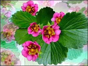 Graficzne kwiaty z liśćmi