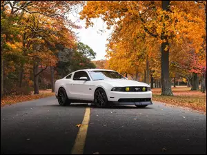 Ford 2009 Mustang