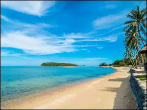 Morska plaża z domkami i palmami