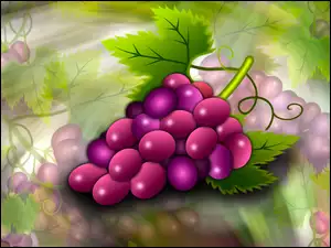 Kiście winogron w grafice