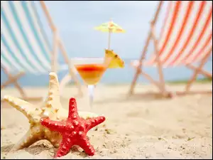 Leżaki z drinkiem i rozgwiazdami na plaży
