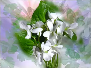 Białe kwiaty graficzne