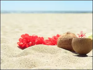Kokosy na plaży