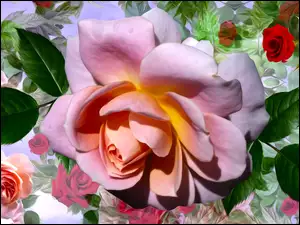 Graficzne kwiaty róż