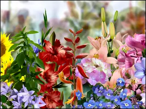 Barwne kwiatki graficzne
