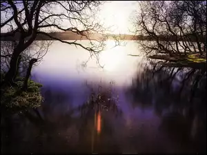Jezioro z drzewami o świcie