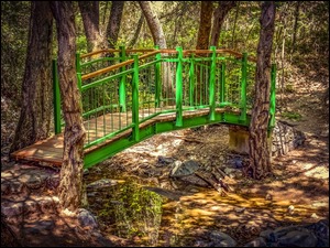 Drewniany mostek w jesiennym lesie