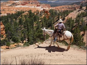 Kowboj z koniem w kanionie