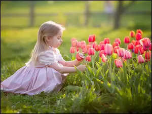 Dziewczynka kucająca przy tulipanach