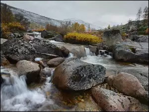 Kamienista rzeka z jesiennymi drzewami