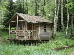 Domek drewniany w lesie