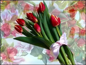 kokarda na bukiecie tulipanów