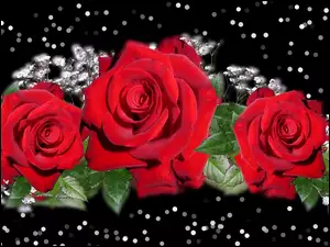 Trzy czerwone graficzne róże
