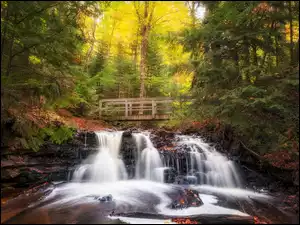 Mostek nad leśną jesienną rzeką