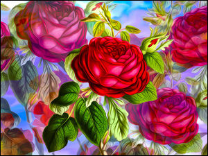 Kilka graficznych czerwonych róż