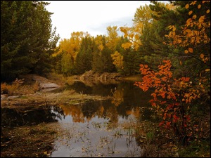 Zatoczka jeziora w jesiennym lesie