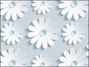 Tekstura białych kwiatów