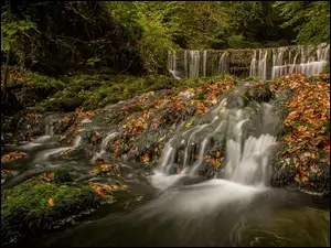 kaskadowy wodospad w lesie jesienią