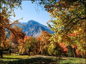 Górski jesienny park
