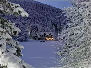 Oświetlony dom w zimowym lesie