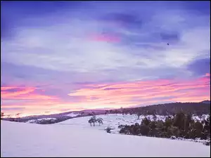 Zachód słońca nad zimowymi wzgórzami i drzewami
