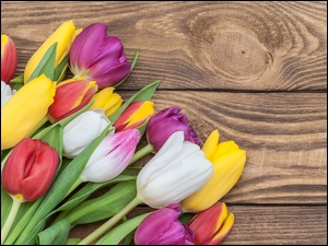 Bukiet kolorowych tulipanów z listkami