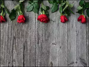 czerwone róże na Walentynki