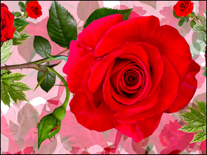 Czerwone graficzne róże z kolcami