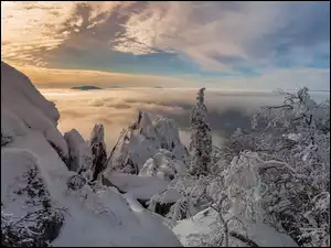Chmury nad mglistymi zimowymi skałami i drzewami