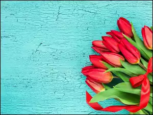 Bukiet tulipanów czerwonych z wstążką
