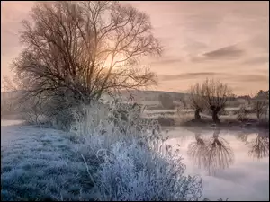 Promienie słońca nad zimową rzeką z drzewami