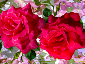 Dwie czerwone graficzne róże