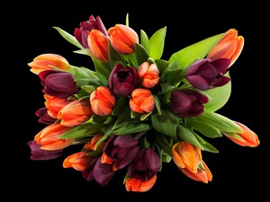Kolorowy bukiet wiosennych tulipanów