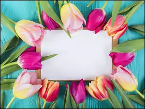 Kolorowe tulipany z kartką