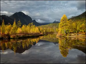 Drzewa nad górskim jeziorem jesienią