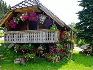 Kwiaty w donicach wokół drewnianego domku