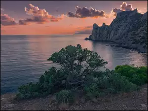 Zachód słońca nad skałami morskimi z drzewami