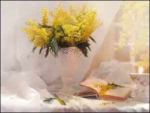 Bukiet mimoz w wazonie z książką i świecą