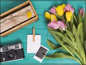 Bukiet tulipanów obok skrzynki i aparatu