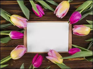 Tulipany ułożone na deskach wokół kartki
